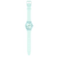 Armbanduhr Swatch Skin in Plastik SS08G100 - SS08G100